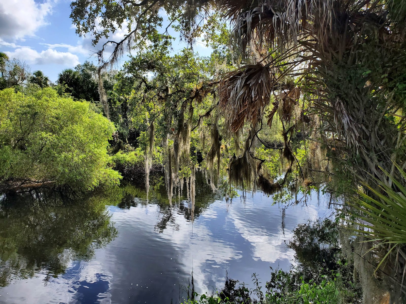 Venetian River Club, photo 2