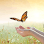 LL RUN MASSAGE THERAPY/SPA