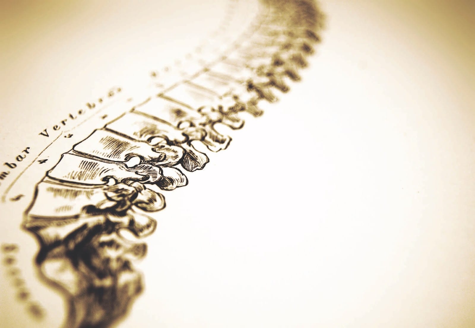 Healthlink Family Chiropractic