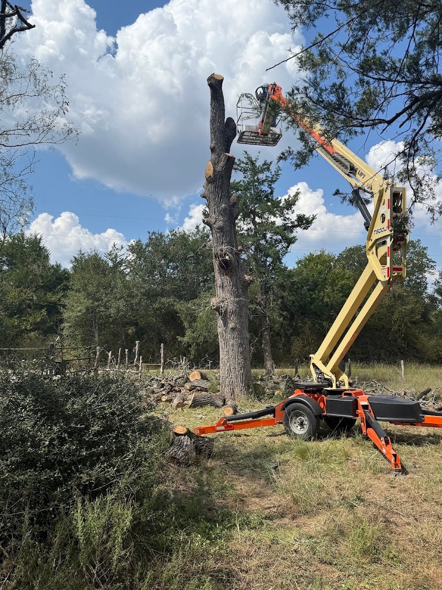 Master Trees Services Brenham, TX, photo 2
