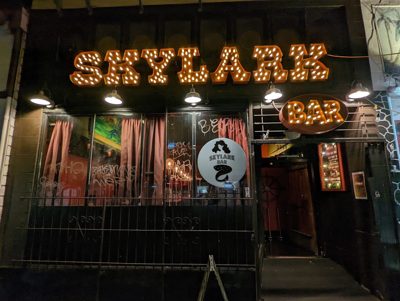 Skylark, photo 4