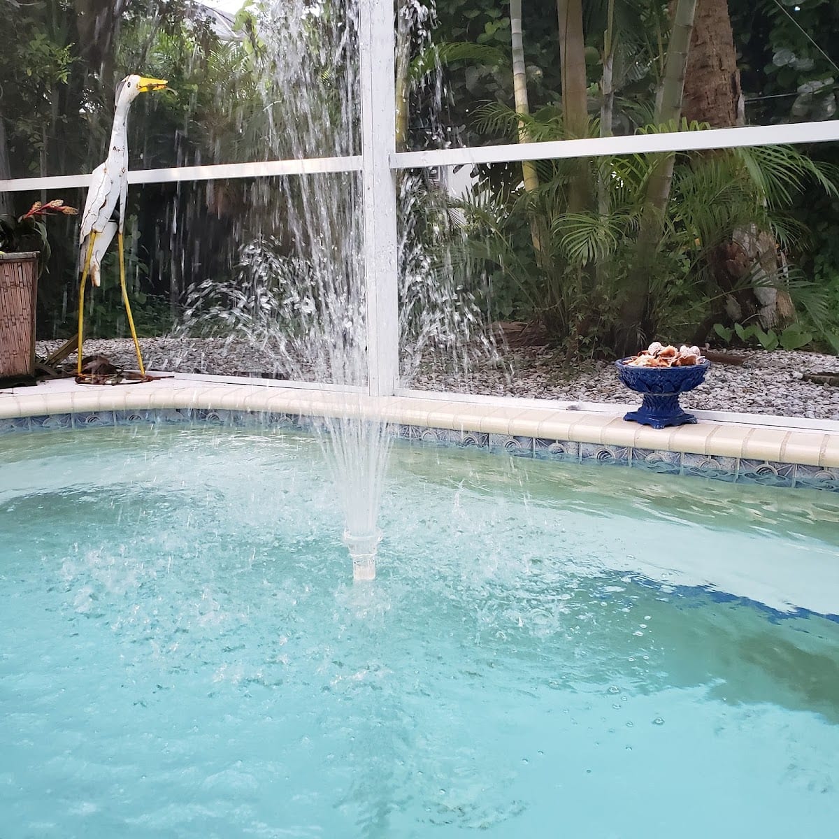 Gautier's Pool Services SRQ, photo 3