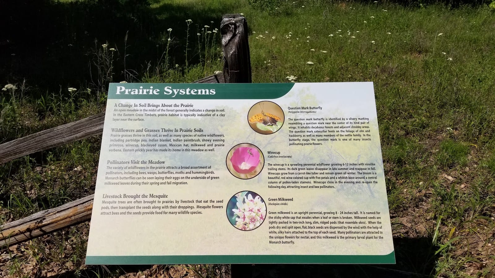 Cross Timbers Park, photo 4