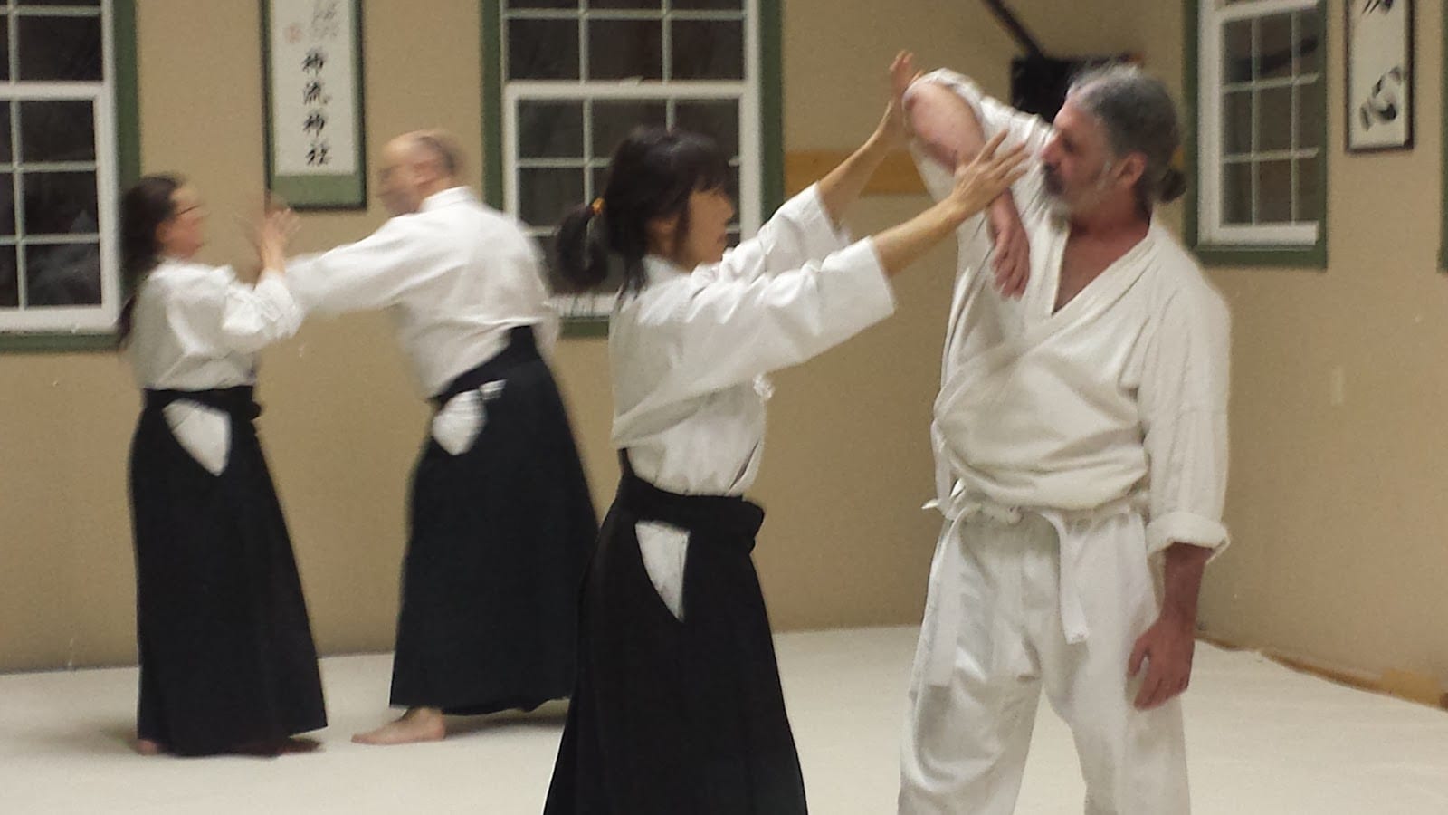Helena Aikido Dojo, photo 2
