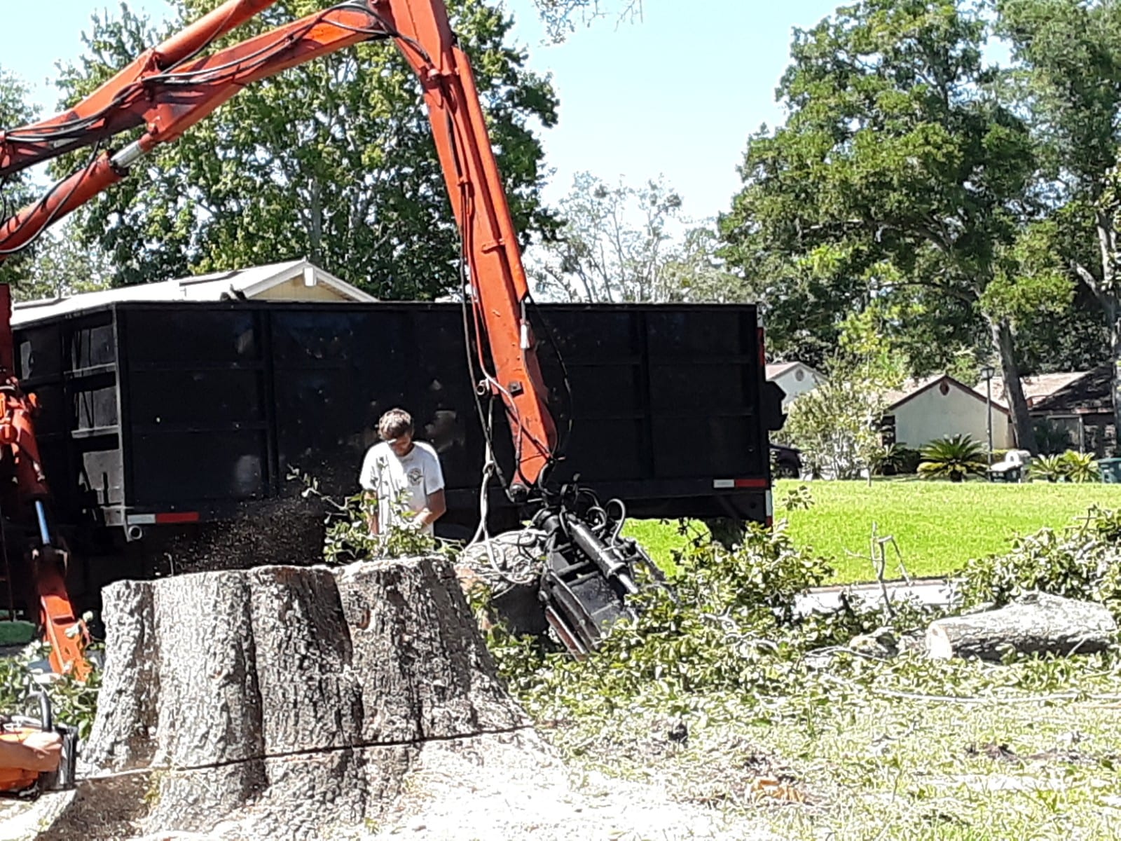bryan jackson tree service