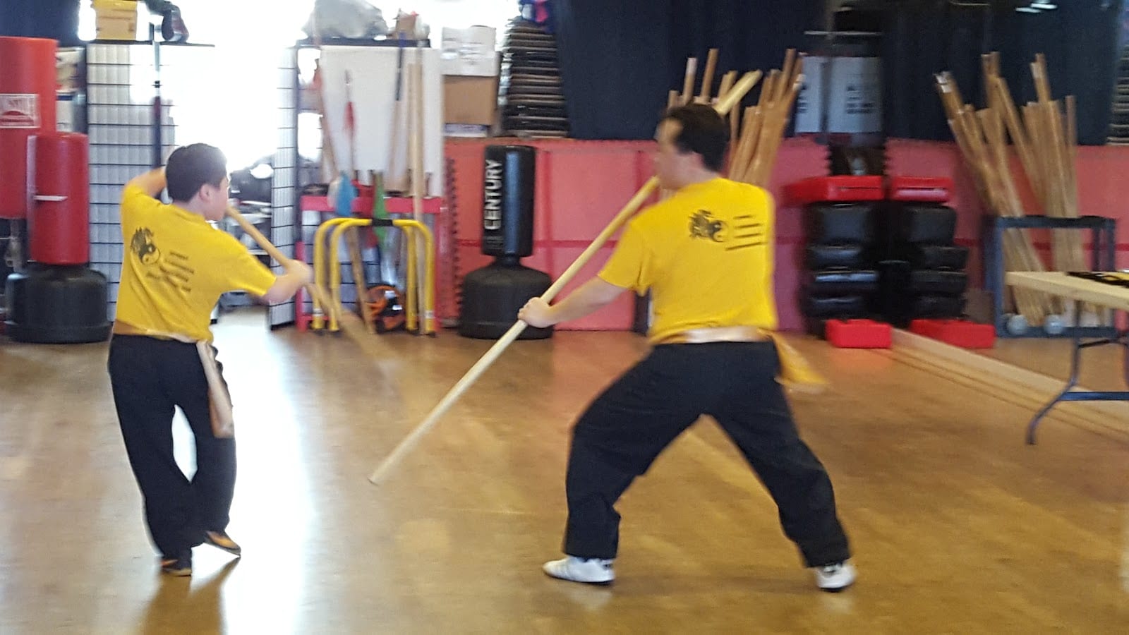 Five Animals Kung Fu Academy, photo 4