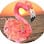 FLA-mingo Resort Properties, LLC