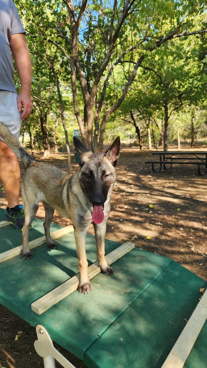Union Park Bark Park