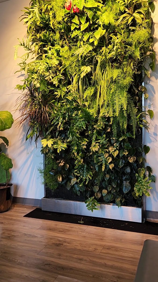 Park Integrative Health, photo 3