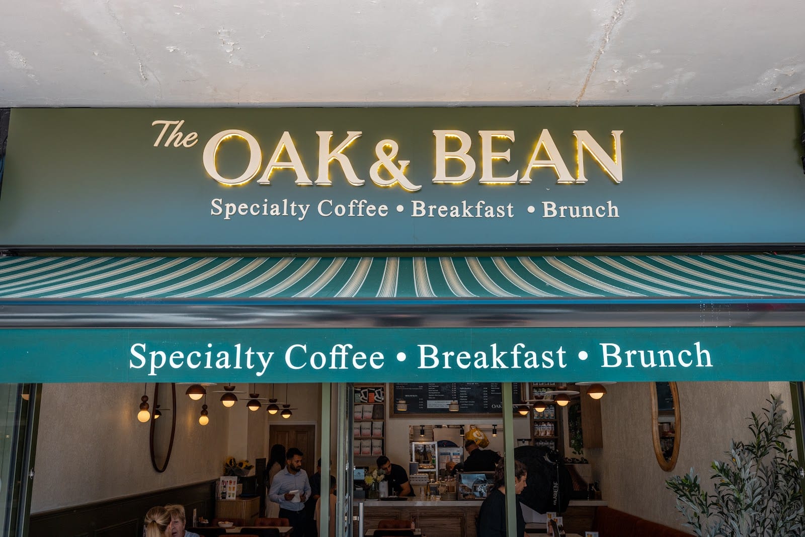 The Oak & Bean, photo 2
