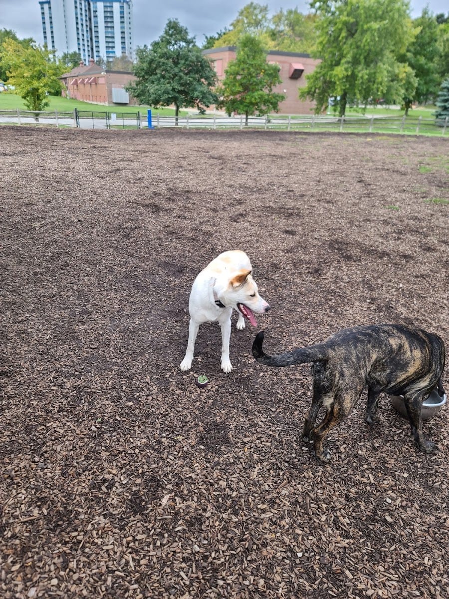 Scarborough Heights Park Off Leash Dog Park, photo 3
