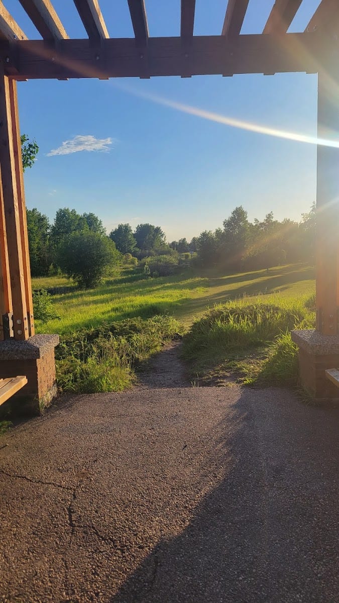 Clarkdale Meadows Pond, photo 3