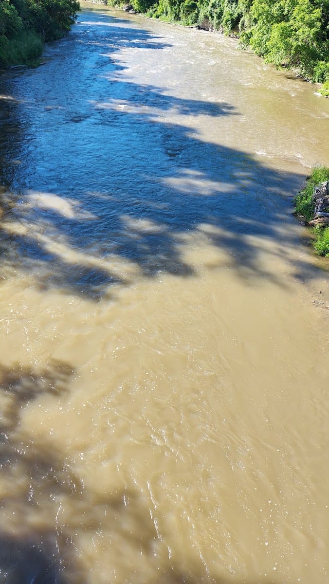 Humber Sheppard Park, photo 3
