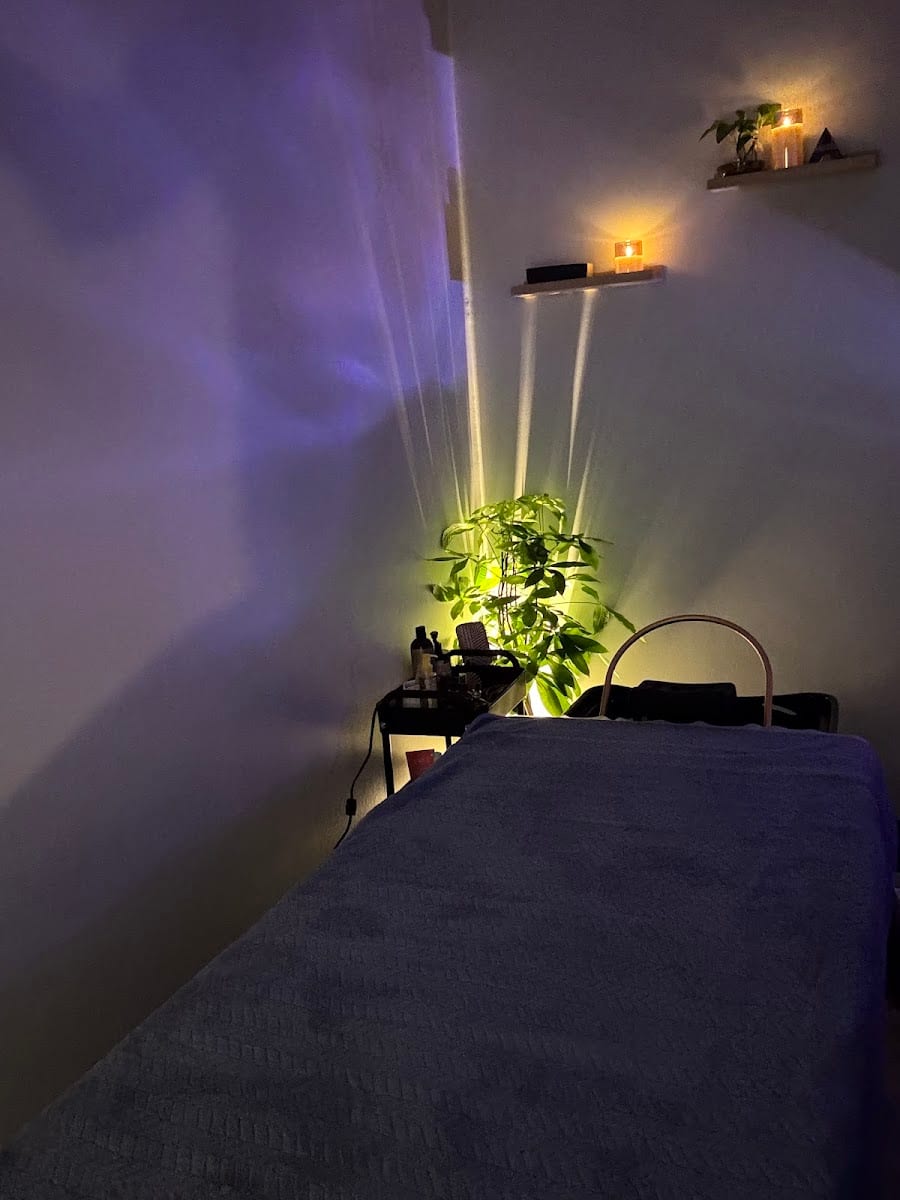 The Soothing Pace Head Spa - Sarasota, photo 4