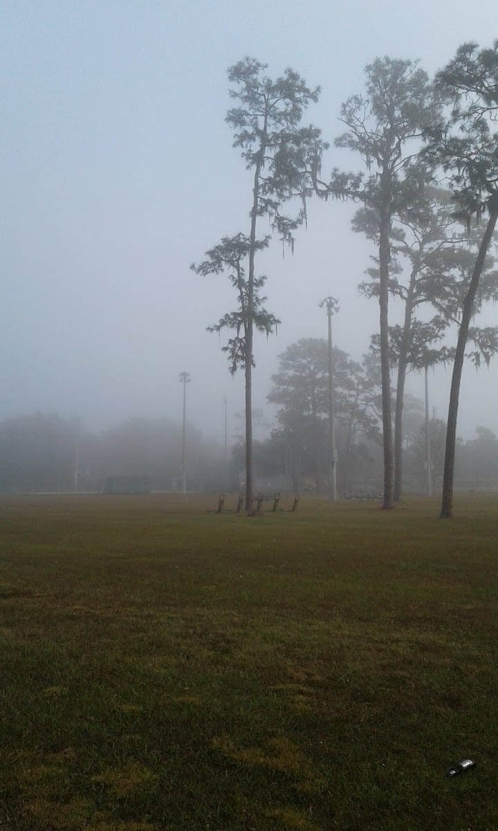McDugald Park, photo 2