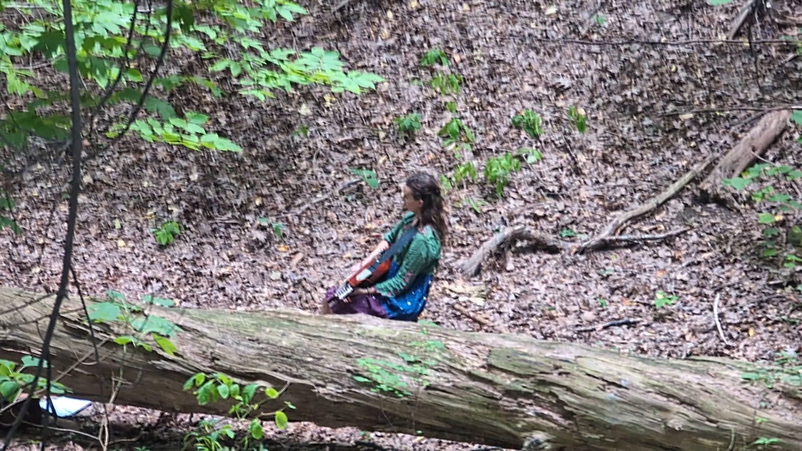 Washington Grove, photo 2