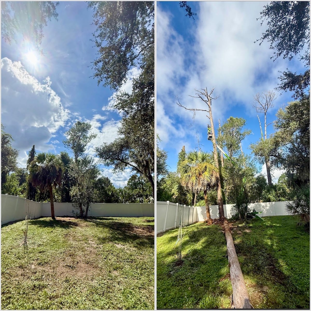 Eagle Eye Tree & Land services, photo 2