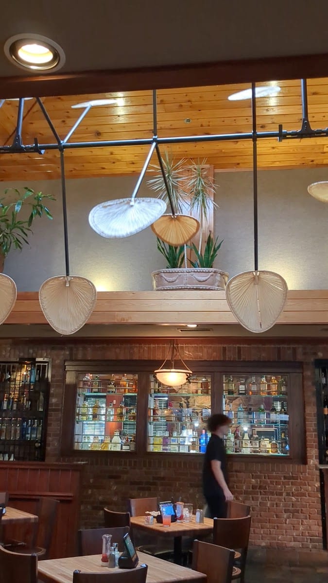 Cheddar's Scratch Kitchen, photo 3