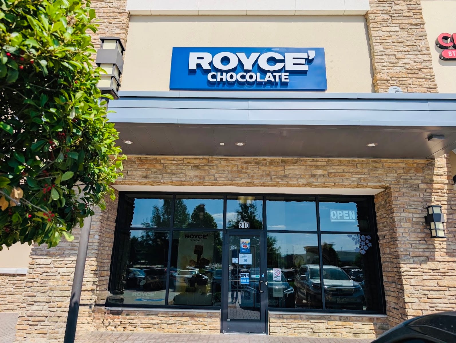 ROYCE' Chocolate Frisco, photo 2