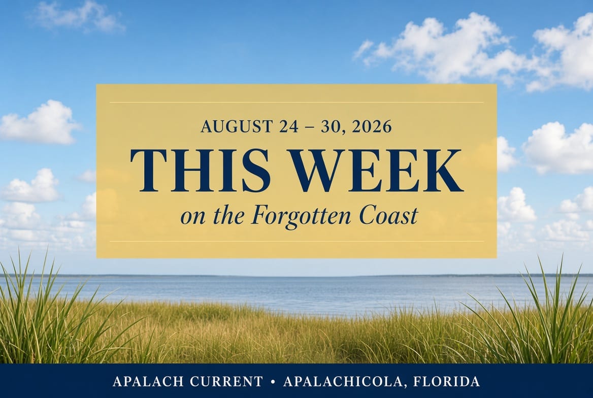Forgotten Coast Hotspots, Hidden Gems: Must-See Events, Food  & Pets!