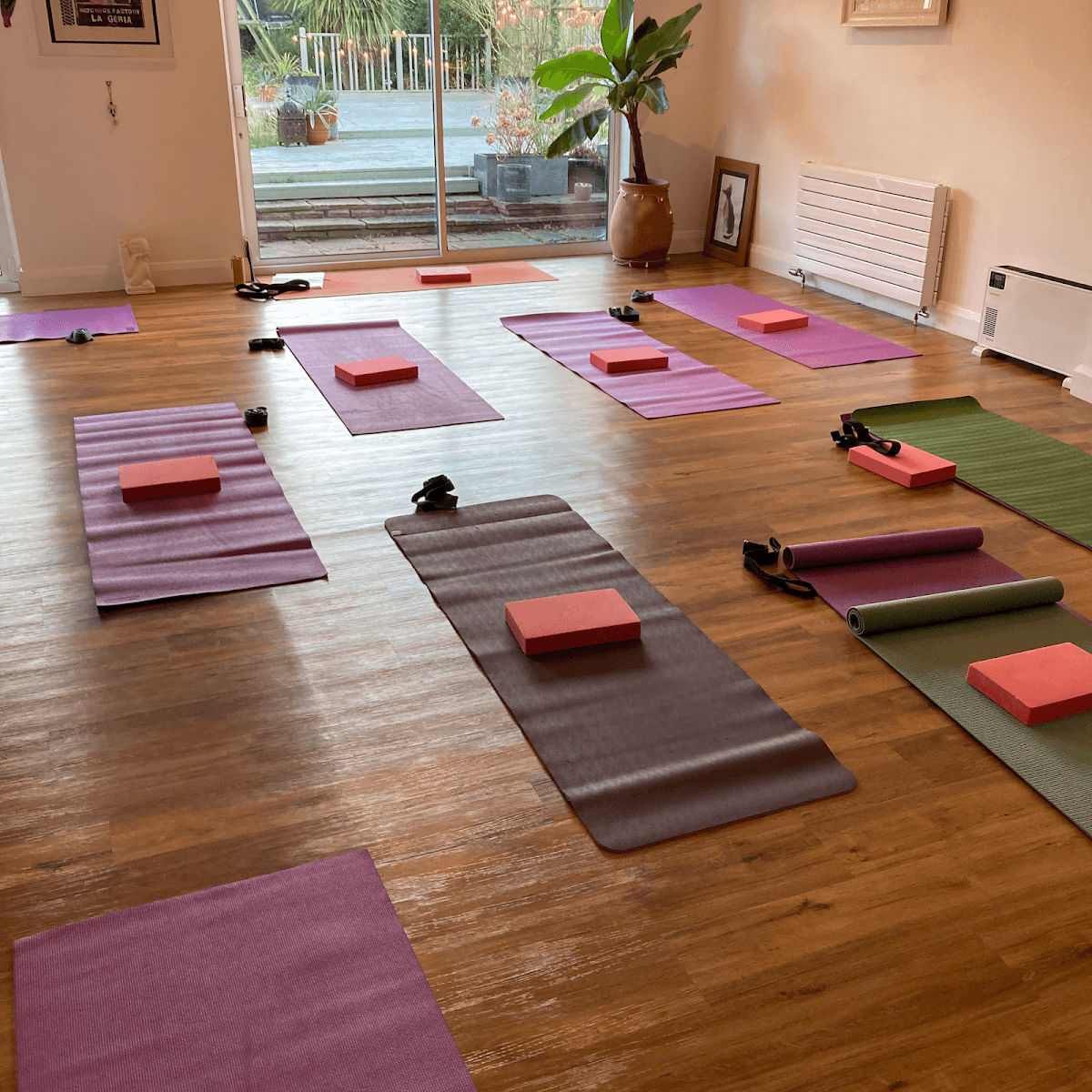 Yoga with Josie, photo 2
