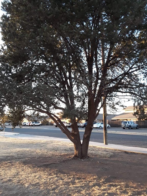 Ratliff Park