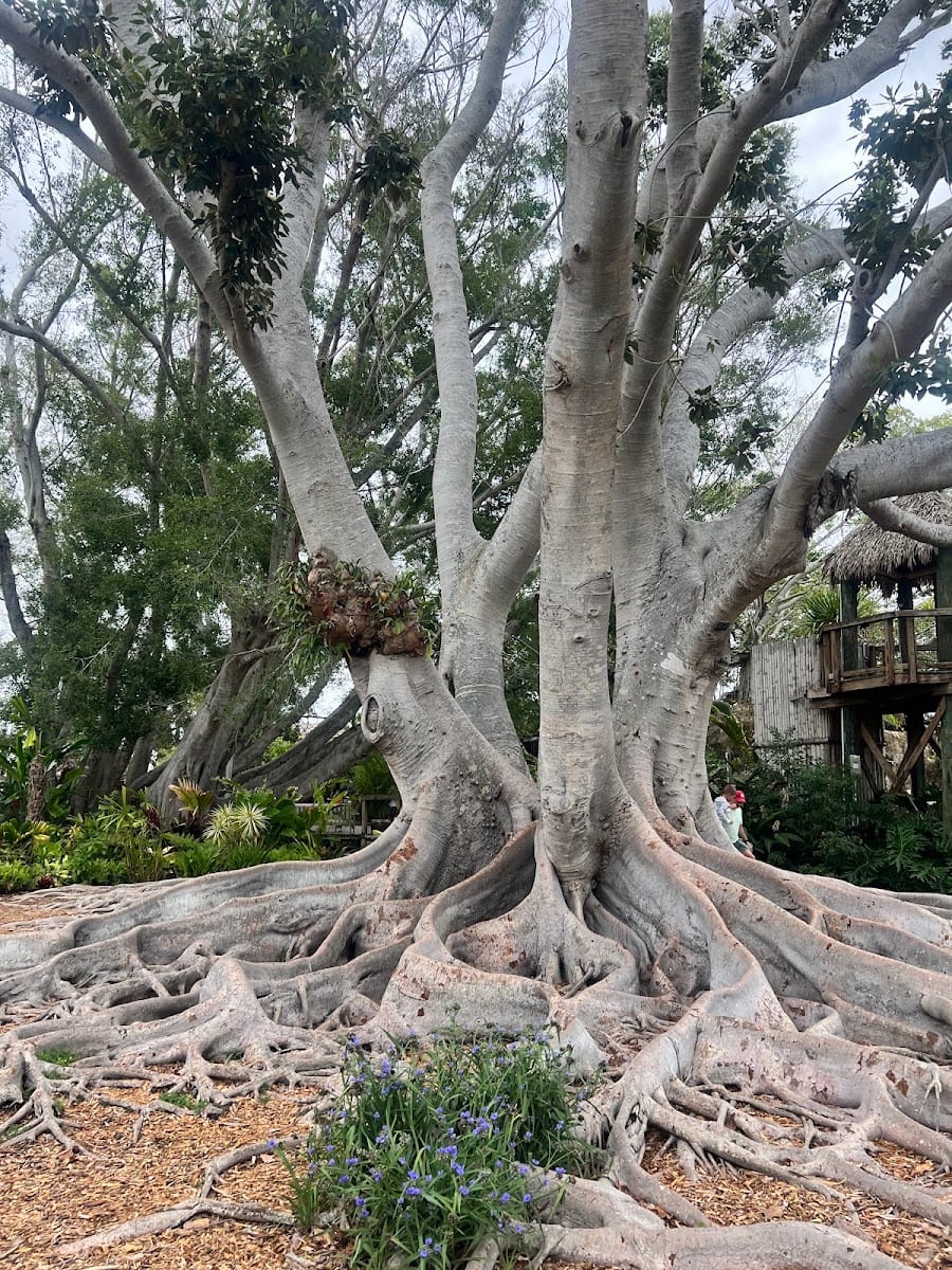 Marie Selby Botanical Gardens Event Venues