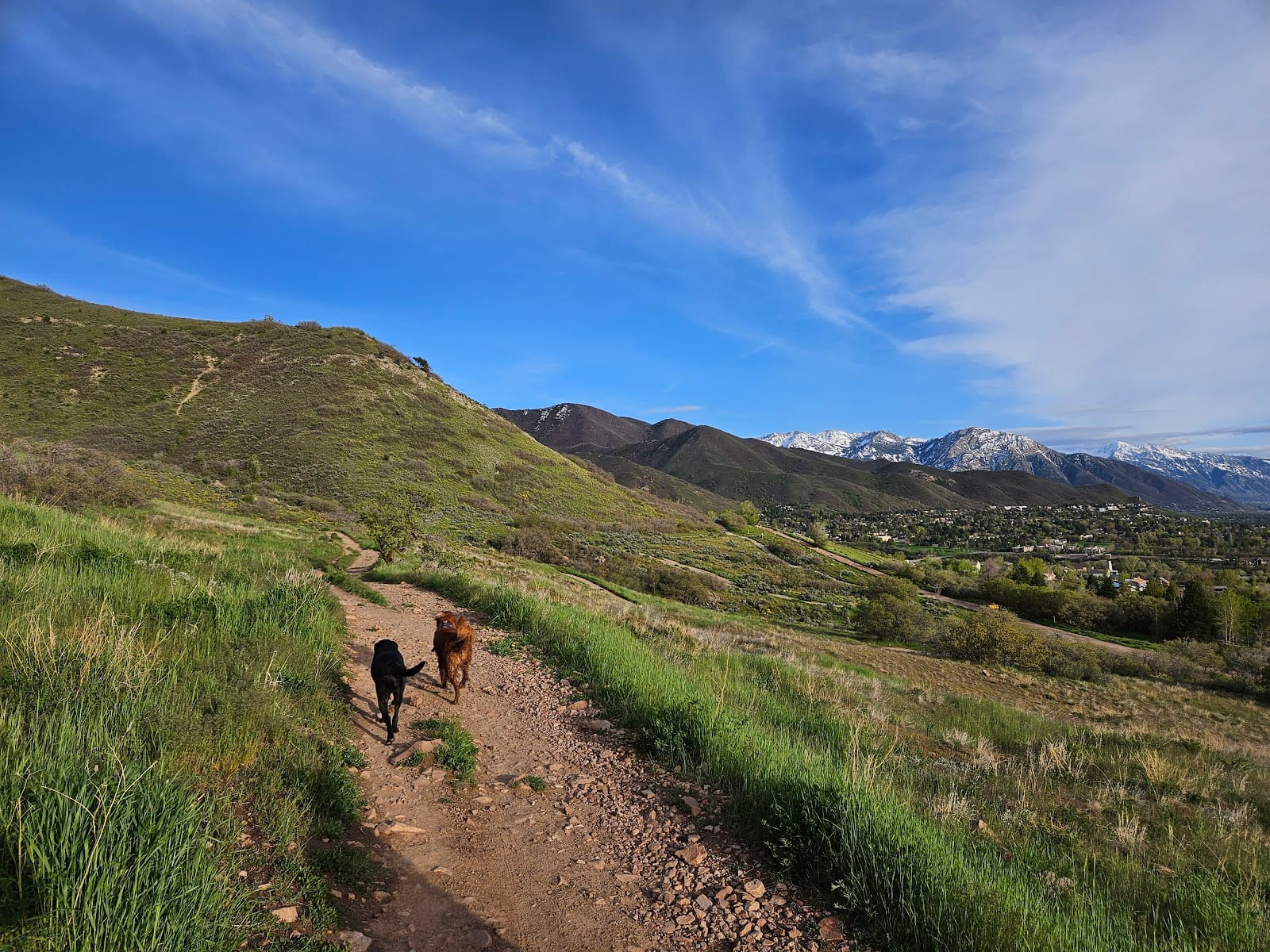 Living Room Trail, photo 4