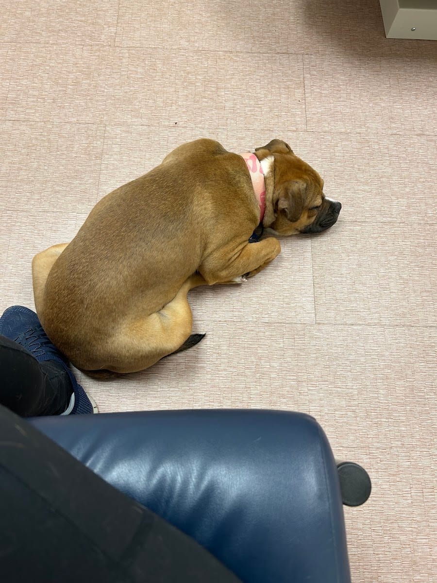 Southpaw Animal Clinic of Madison