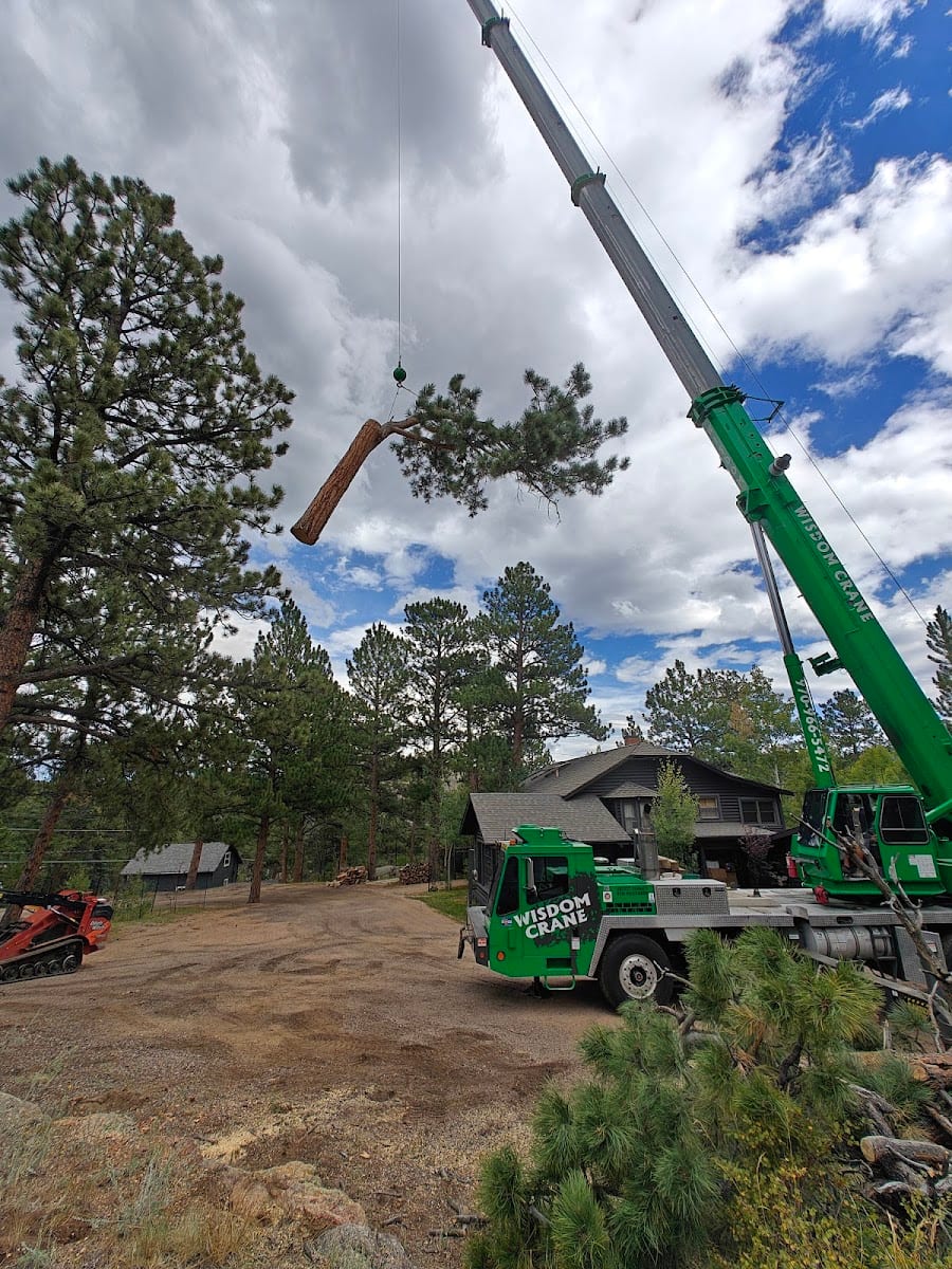 Estes Valley Tree Care LLC