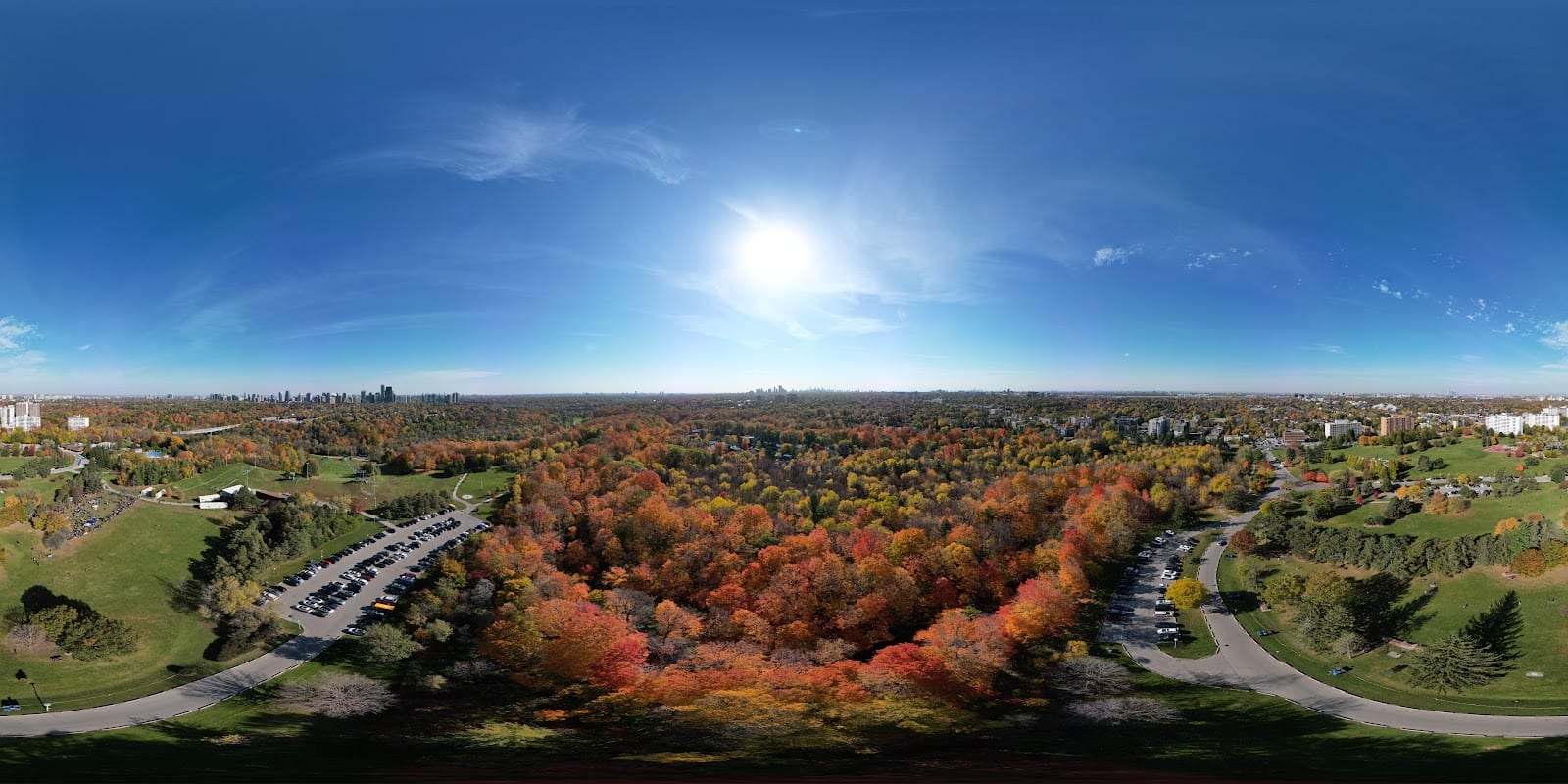 Earl Bales Park