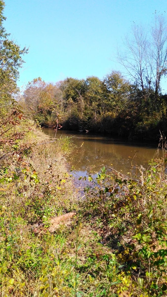 Rocky Creek Village
