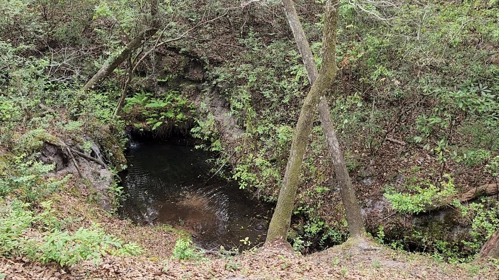 Pioneer Trail, photo 3