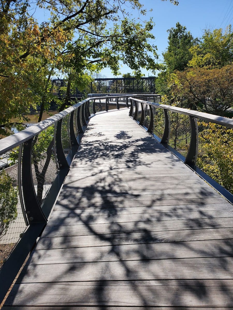 Tree Top Trail, photo 3