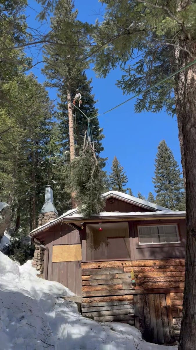 Alpine Tree Service, Estes Park, photo 3
