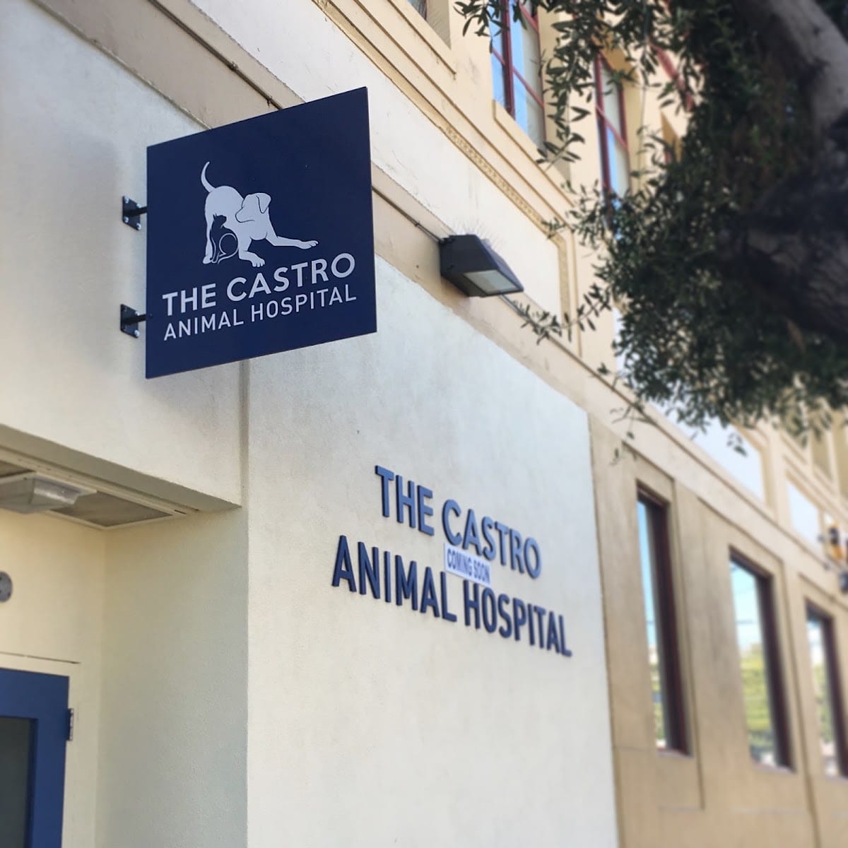 The Castro Animal Hospital, photo 3