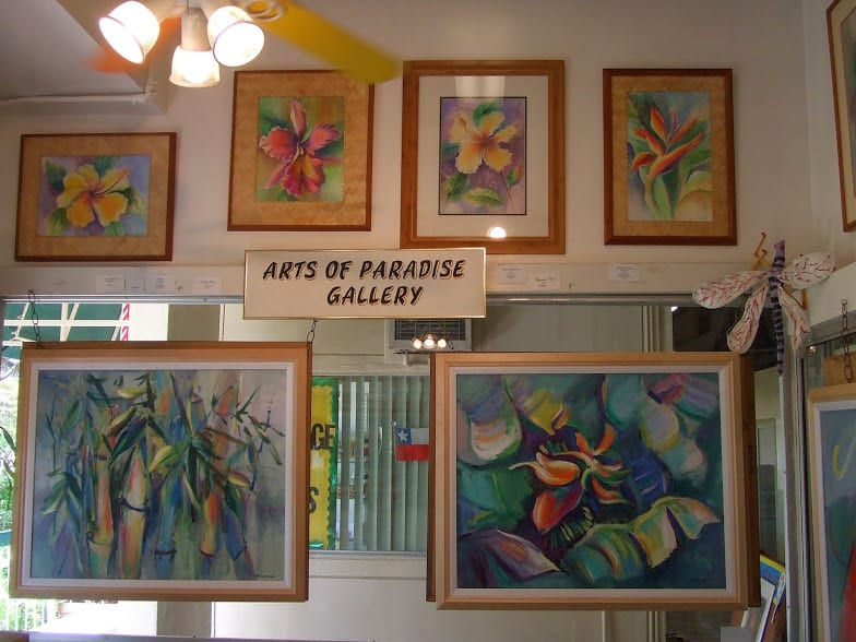 Arts of Paradise Gallery -working studio/gallery offering affordable art and art lessons, photo 3
