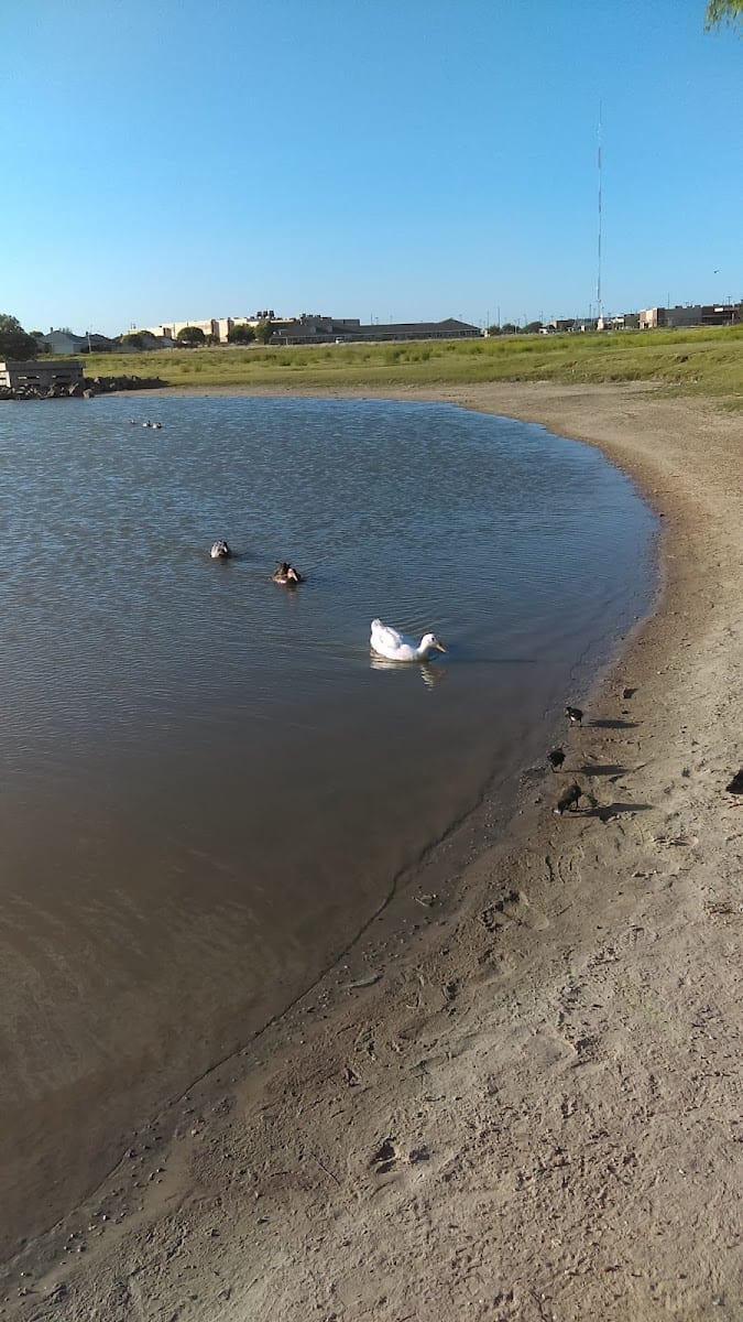 Earl Crow Park