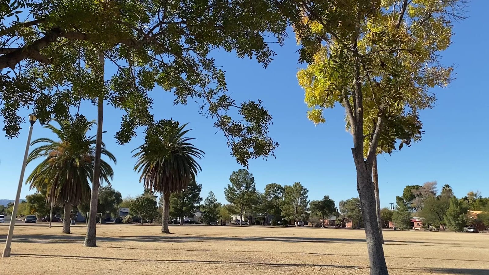 La Madera Park, photo 2