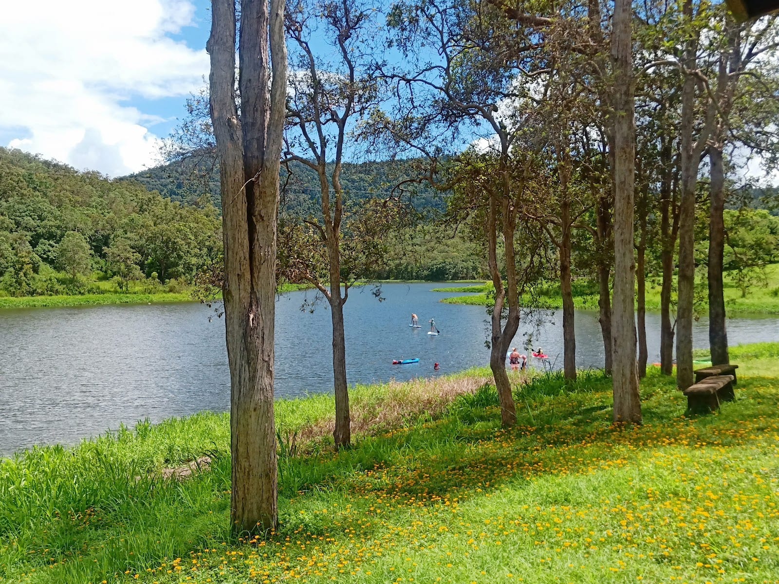 Middle Creek Dam