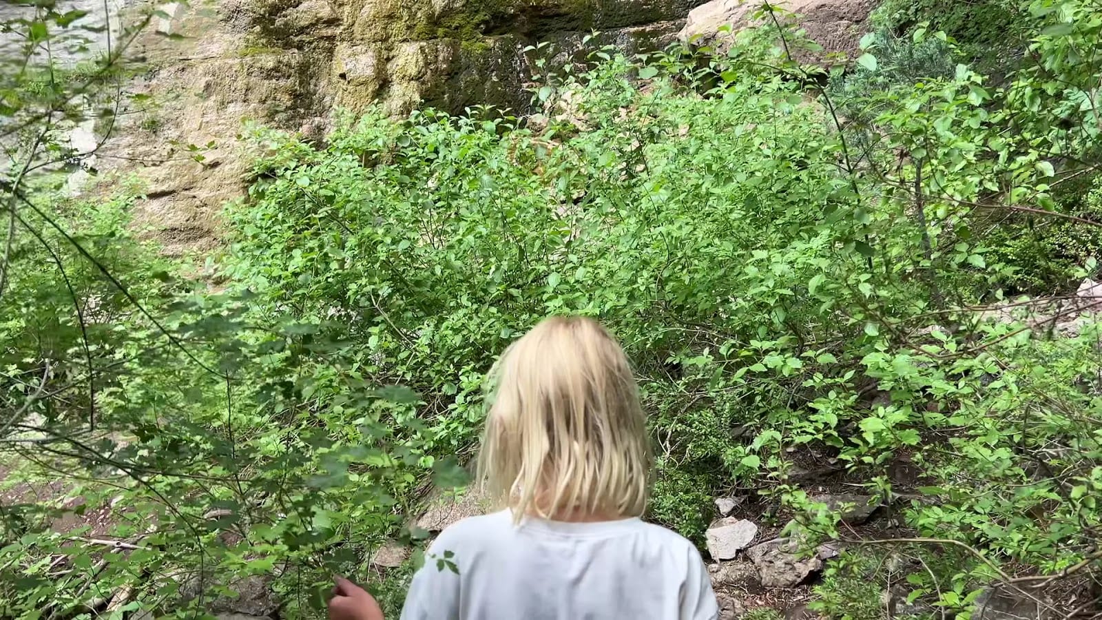 Richards Hollow Falls, photo 2
