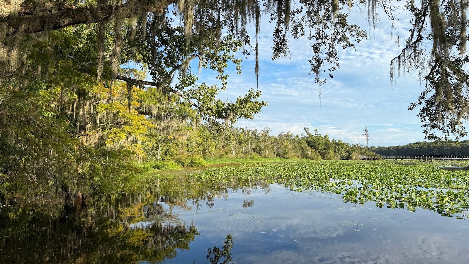 eBird Hotspot: Camp Chowenwaw