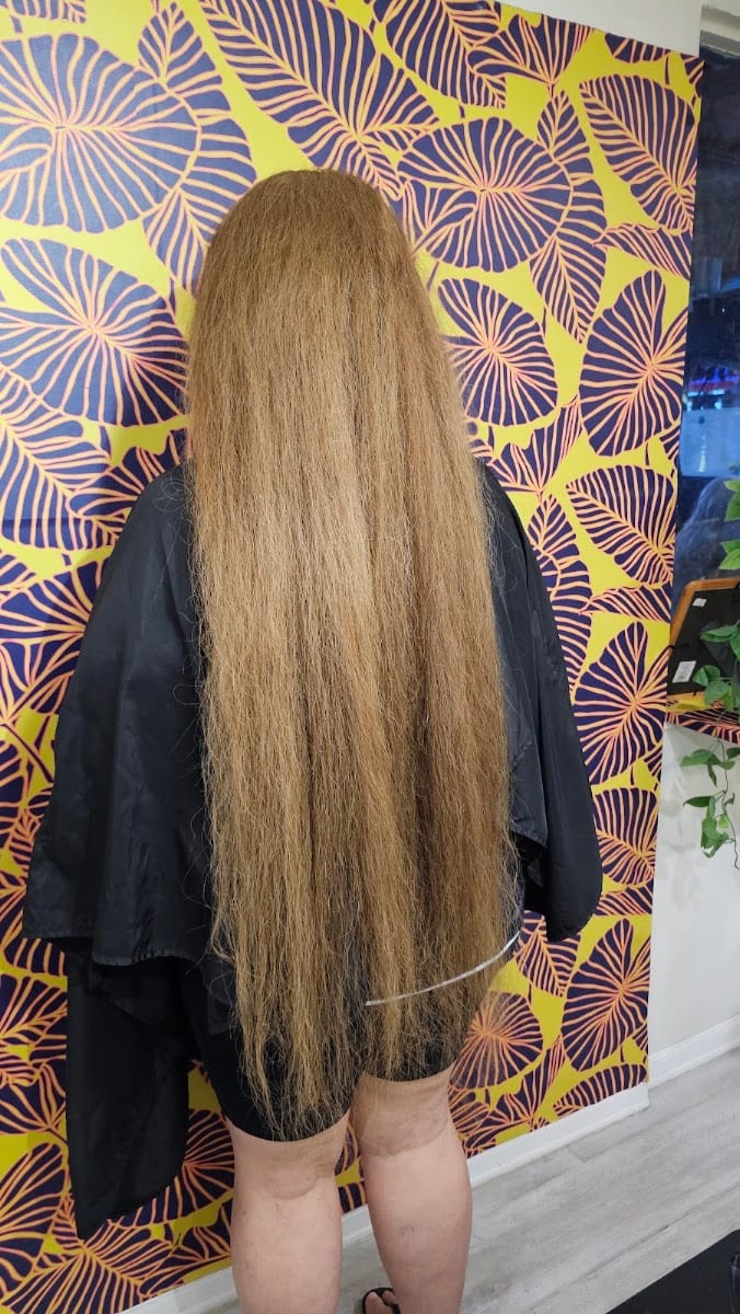 VIVE Hair Society, photo 2