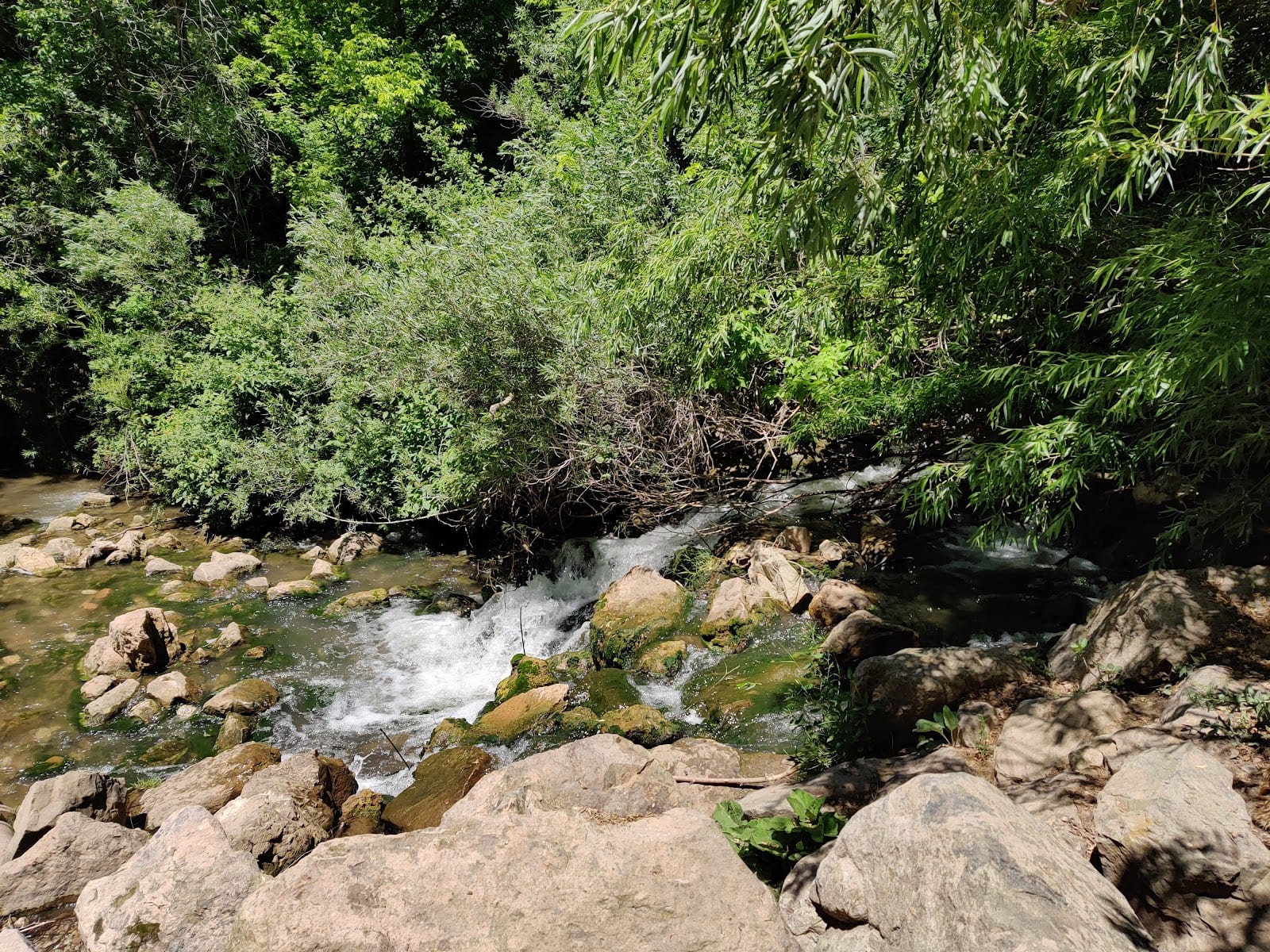 Rotary Glen Park, photo 4