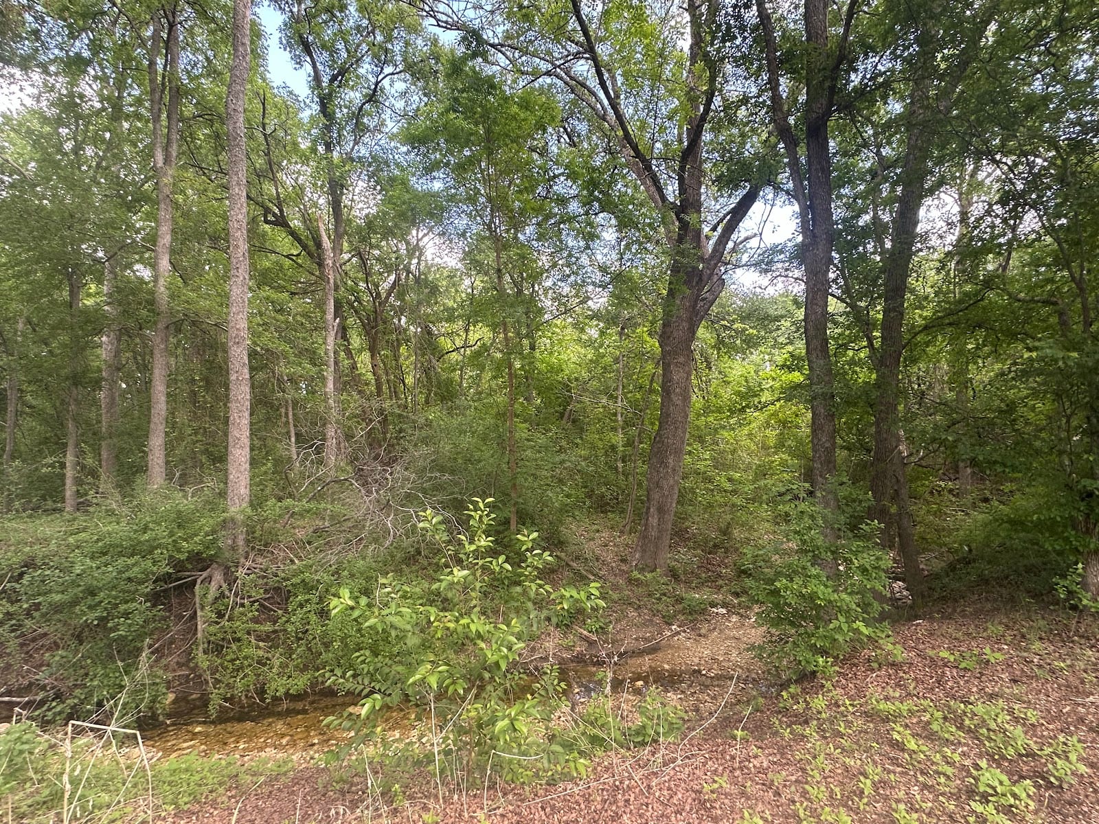 Old Settlers Park Soccer Fields