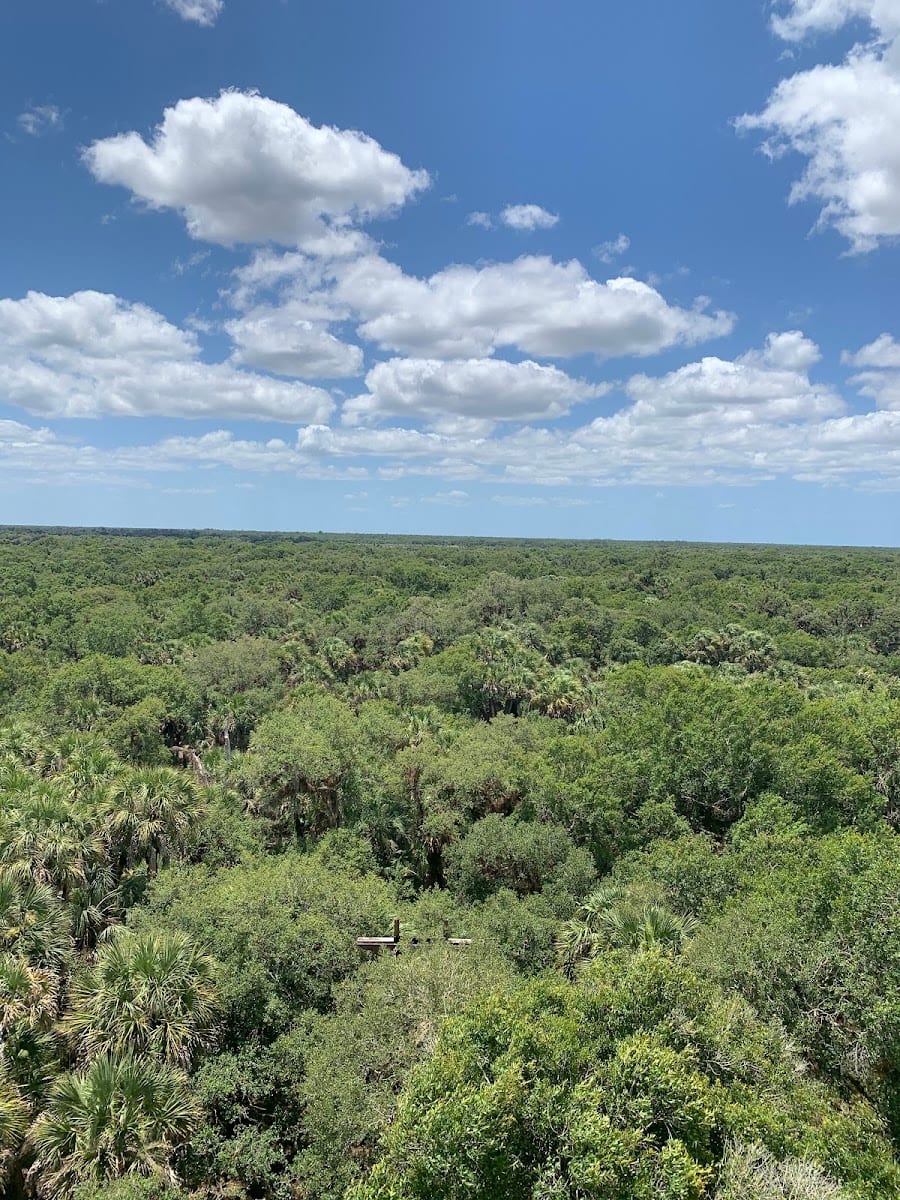 Myakka Canopy bridge/hiking trail parking lot and trail head