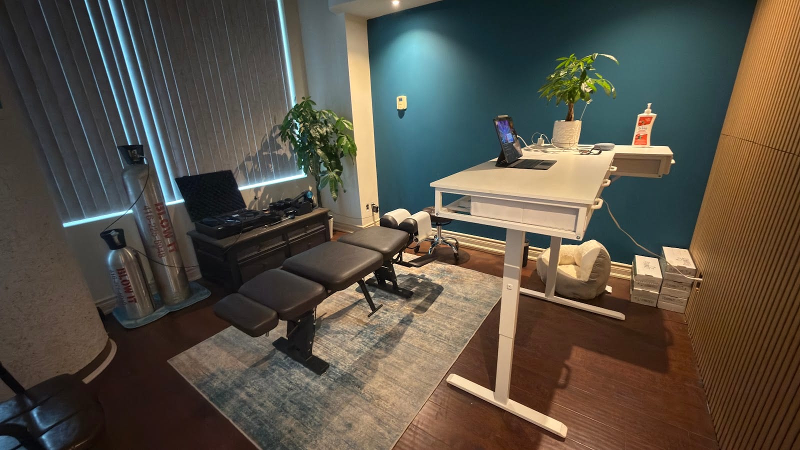 The Mindful Spine Wellness Studio, photo 2