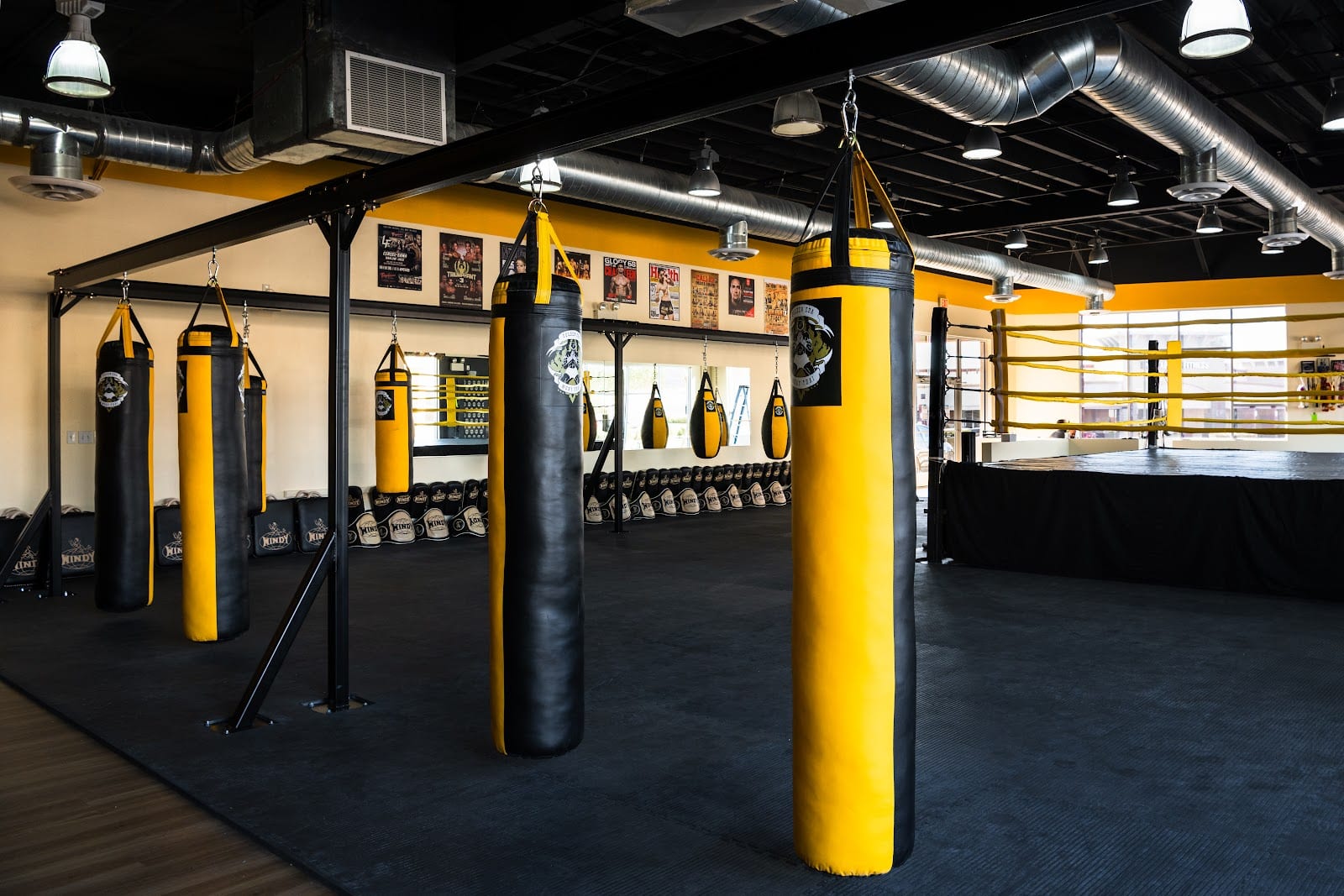 Golden Era Muay Thai, photo 2
