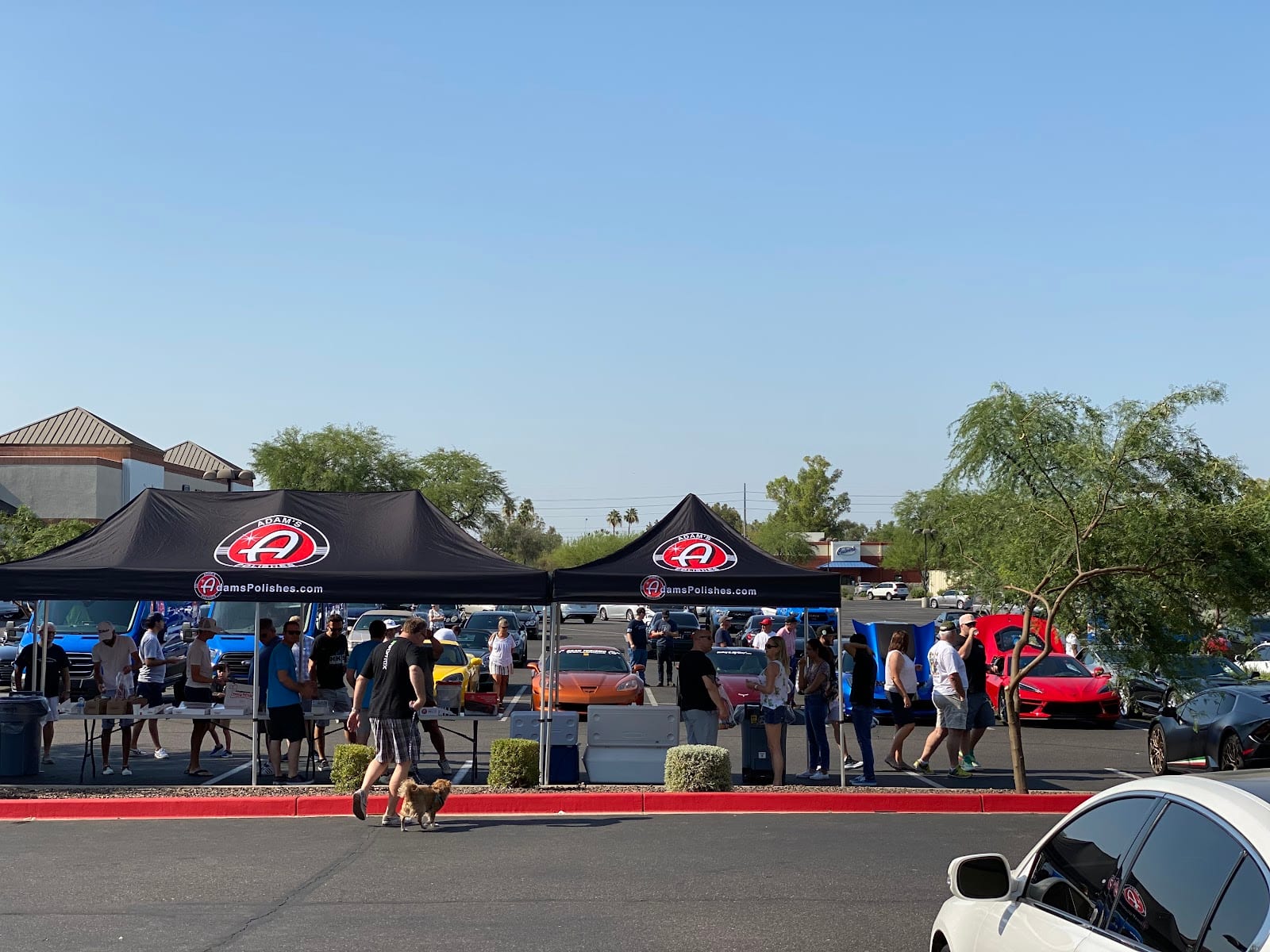 Adam's Polishes Scottsdale
