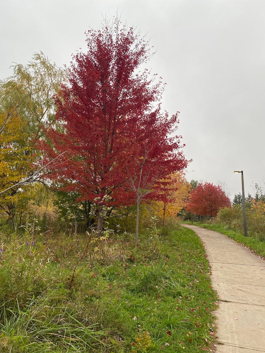 Newberry Park, photo 3